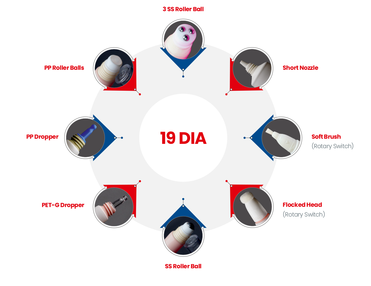 19dia